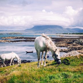 Explore the Emerald Isle with ASCLA - May 10-17, 2018